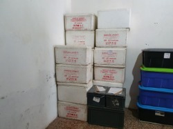 Foto Lote