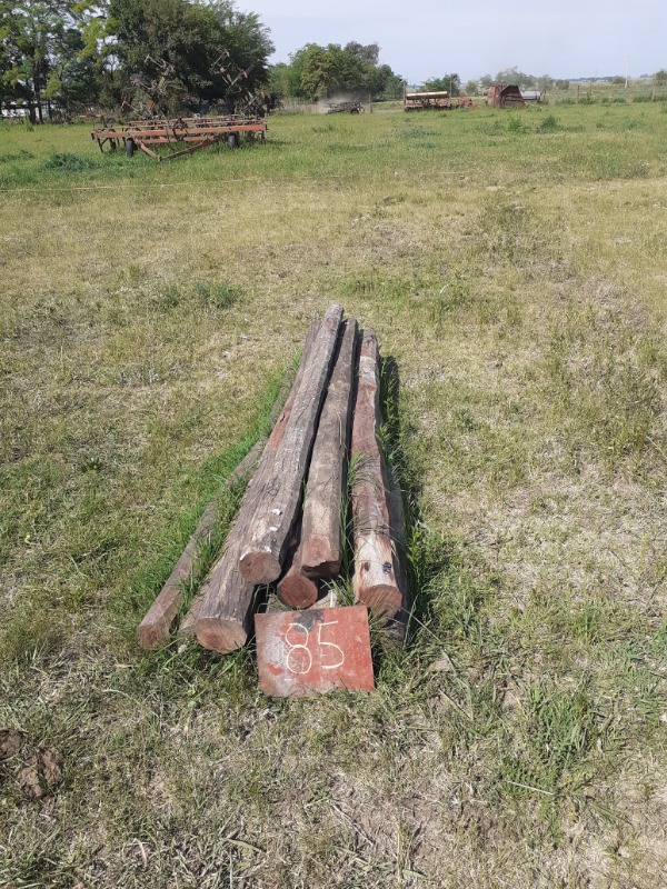 Foto Lote