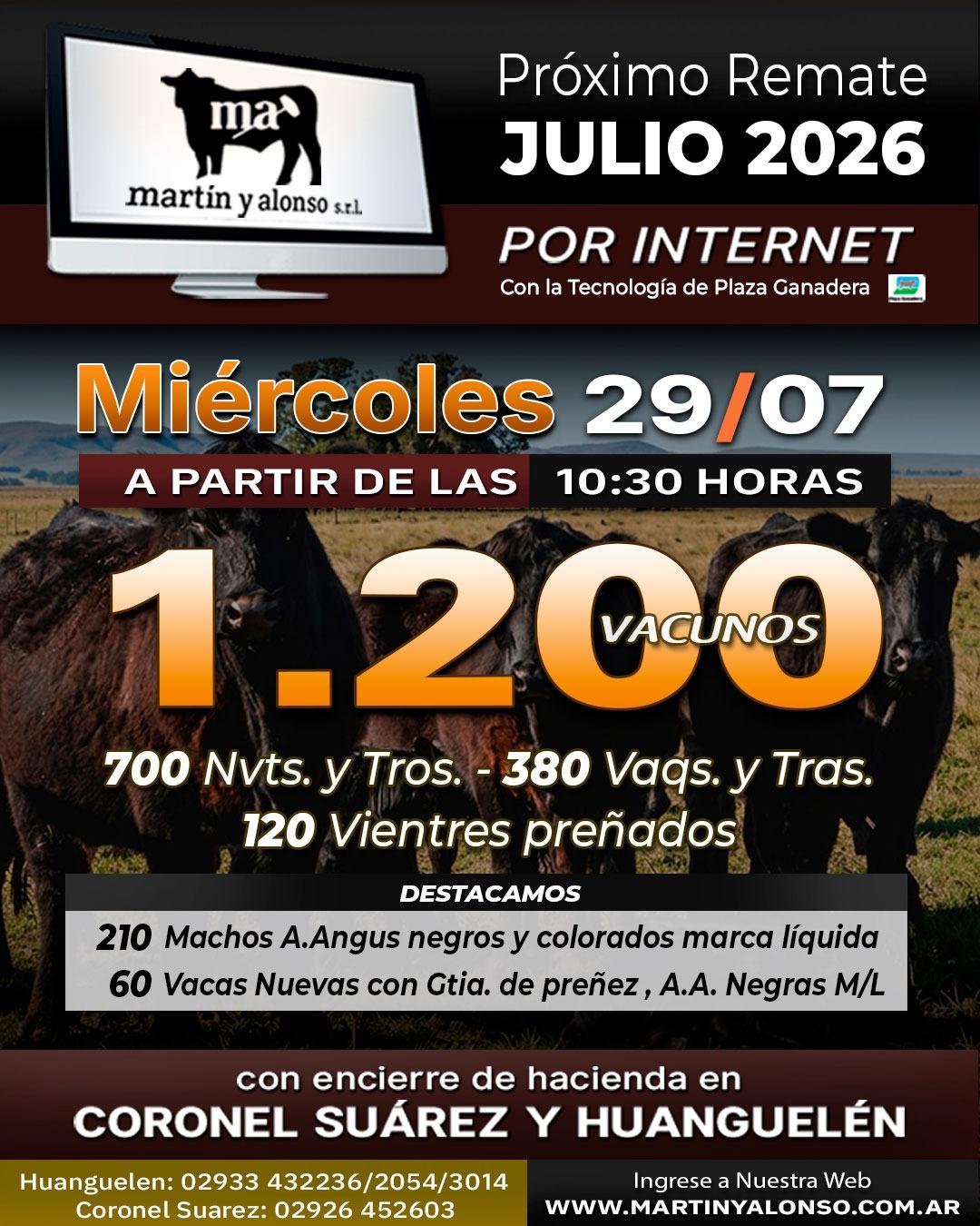 Afiche del remate