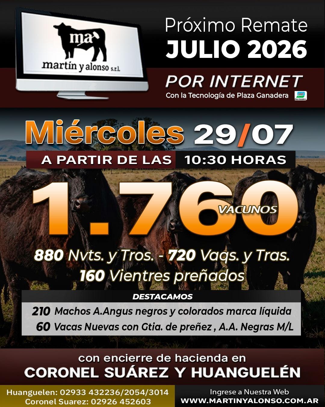 Afiche del remate