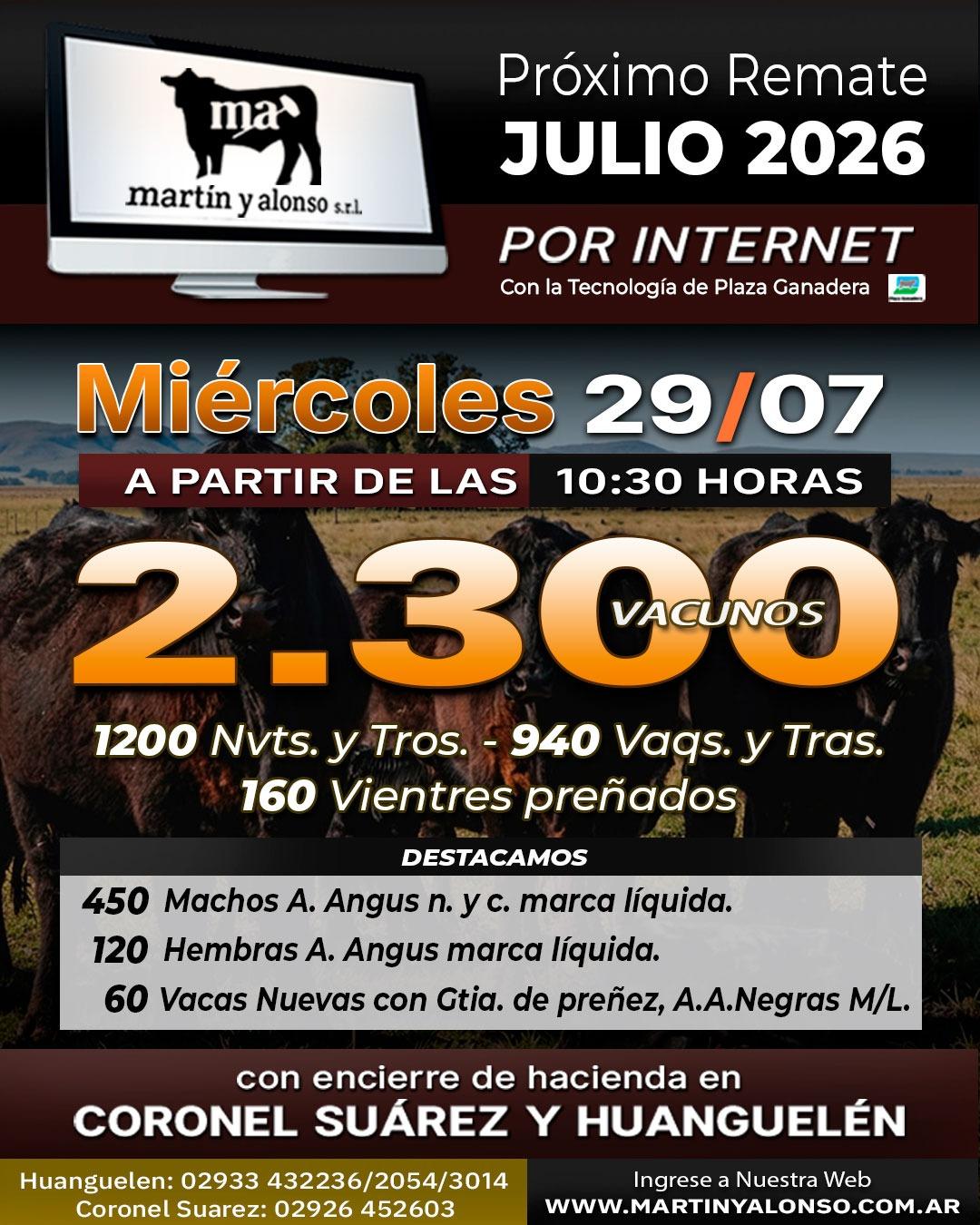 Afiche del remate