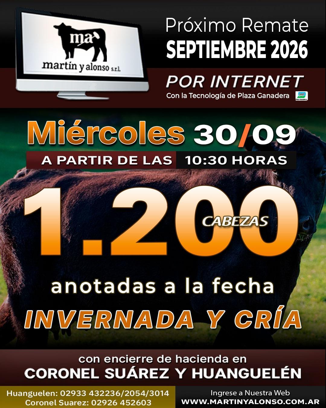Afiche del remate