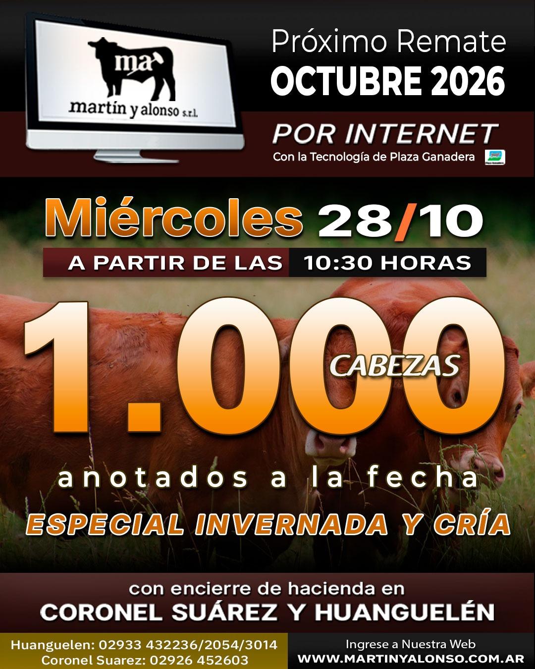 Afiche del remate