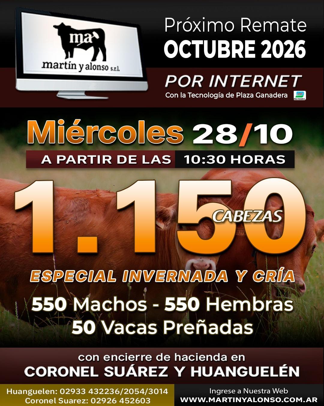Afiche del remate