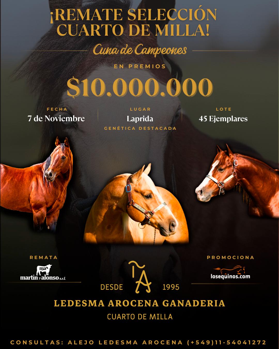 Afiche del remate
